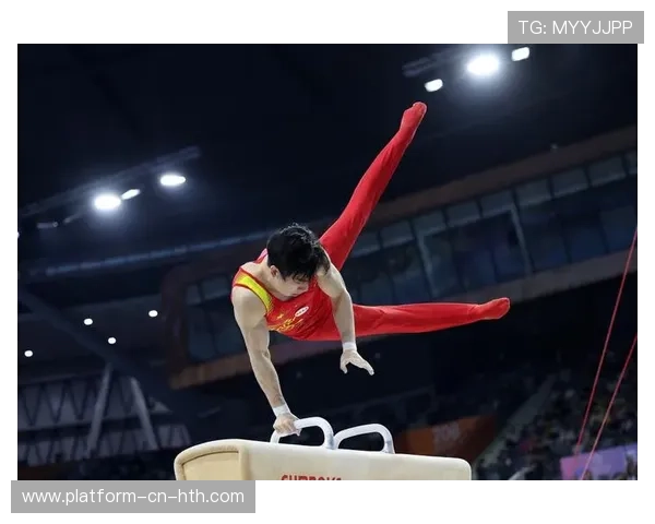 体操鞍马选手全程稳定无明显瑕疵